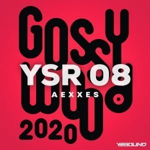 AEXXES YSR 08, Yesound Radio