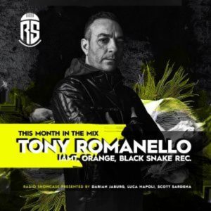 Tony Romanello We Are Resonance Black Snake Series 12