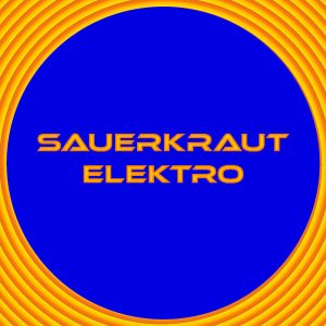 Sauerkraut Elektro - Gehörschadenatom Live Techno Set