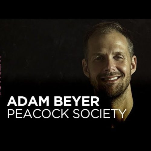 Adam Beyer Peacock Society 2022 x ARTE Concert